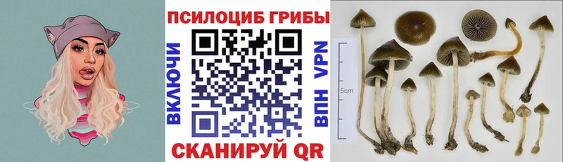 Псилоцибиновые грибы GOLDEN TEACHER Данилов