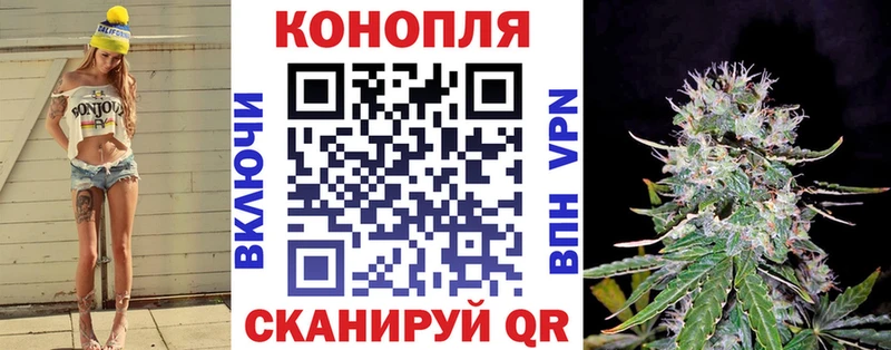 дарнет шоп  Данилов  Бошки марихуана Ganja 